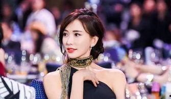 南京爆料林志玲视频,一场意外的公众聚焦