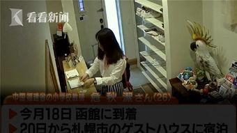 江西失踪老师爆料新闻,揭开校园隐秘真相